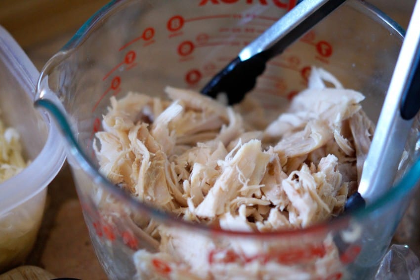 shredded chicken enchiladas