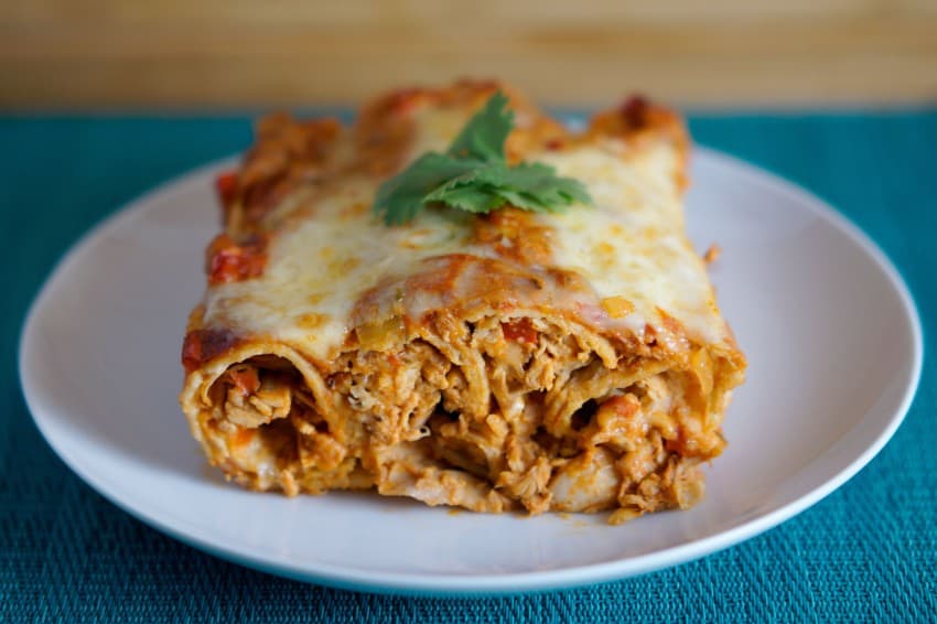 shredded chicken enchiladas