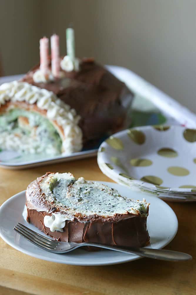 Chocolate Ice Cream Roll Cake Recipe 