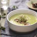 Broccoli Cheddar Soup