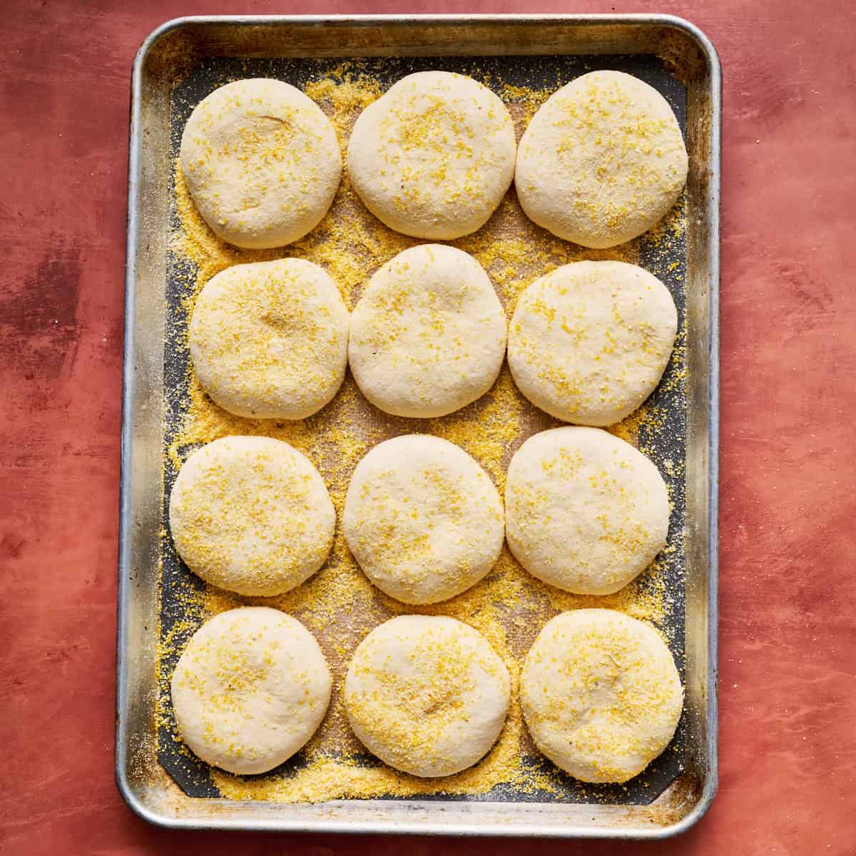english muffins after their second rise on a baking sheet with cornmeal
